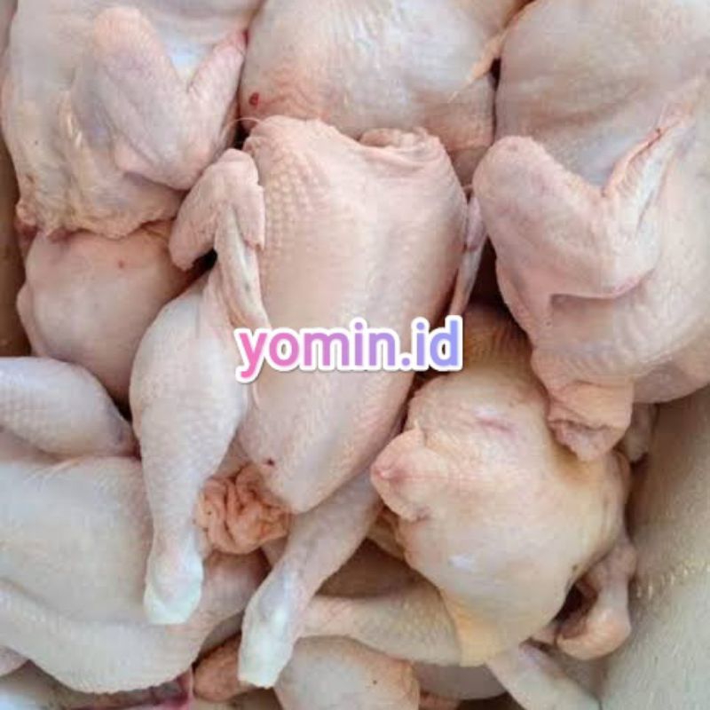 

Ayam Utuh 1 Ekor (0,6gr s/d 0,7gr)
