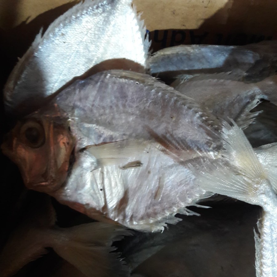 

IKAN ASIN PETEK 500 gr