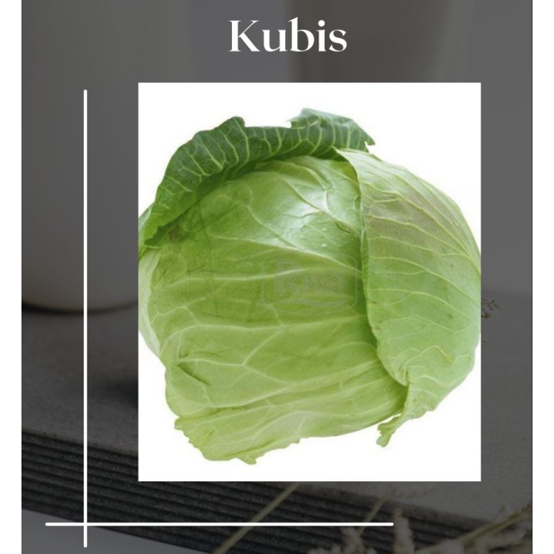 

Kubis segar Eceran/Kiloan