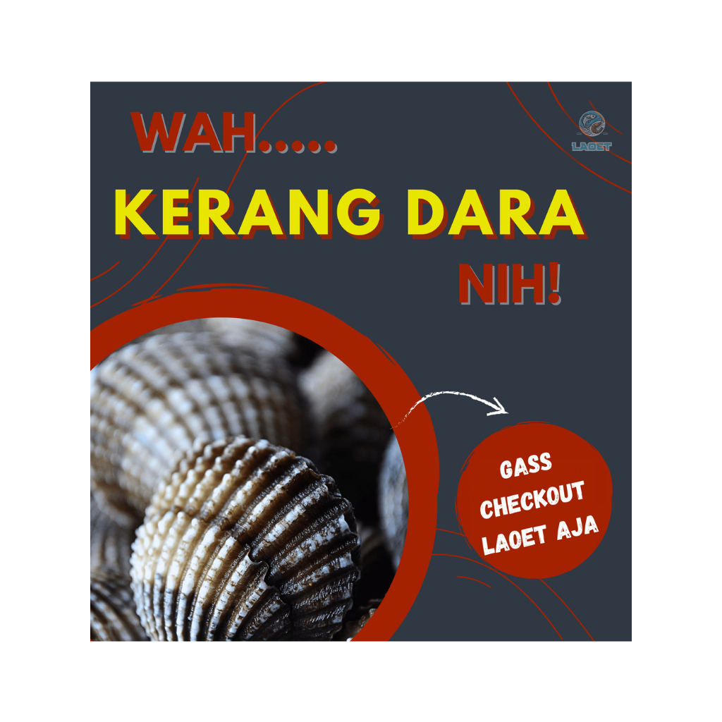 

KERANG DARA SEGAR KUALITAS PREMIUM - LANGSUNG DARI NELAYAN! | KERANG DARAH KILOAN | KERANG DARA 1KG