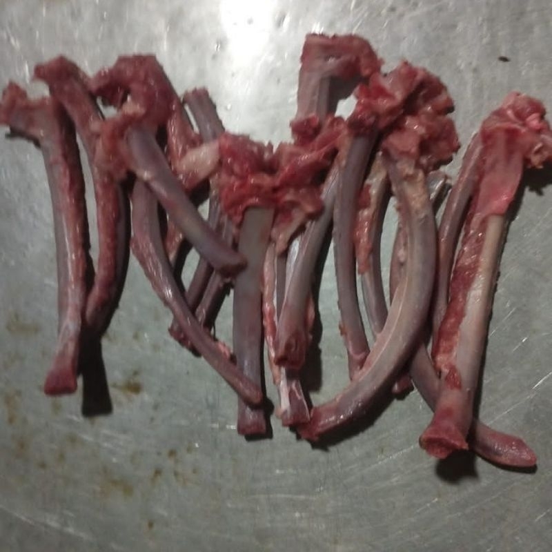 

TULANG LIDI / TULANG RUSUK TANPA DAGING / LIDI KUT [HARGA PER-IKAT]