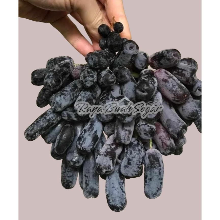 

Anggur Moondrop Aus Buah Import Segar Buah Pilihan