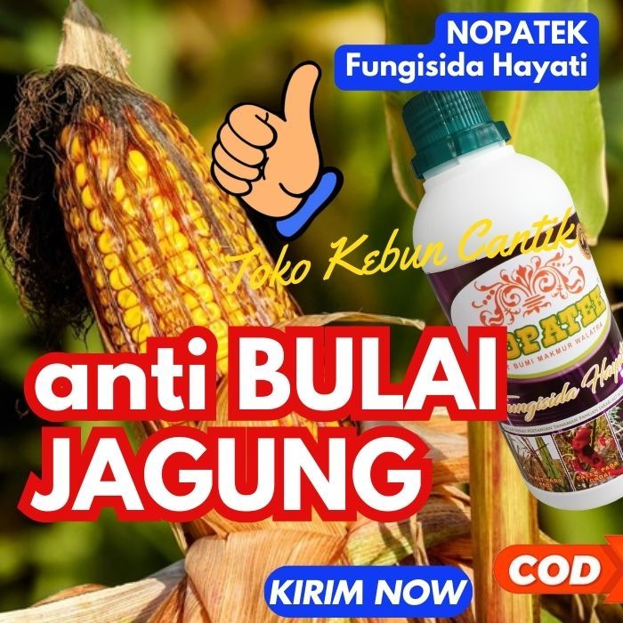 Fungisida Cair 500ml Obat Penyakit Bulai Jagung dan Patek Cabe