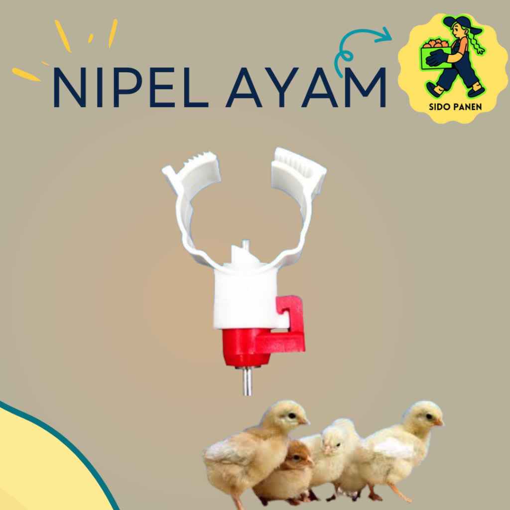 Nipple A3 POLOS nipel nepel nippel alat minum ayam
