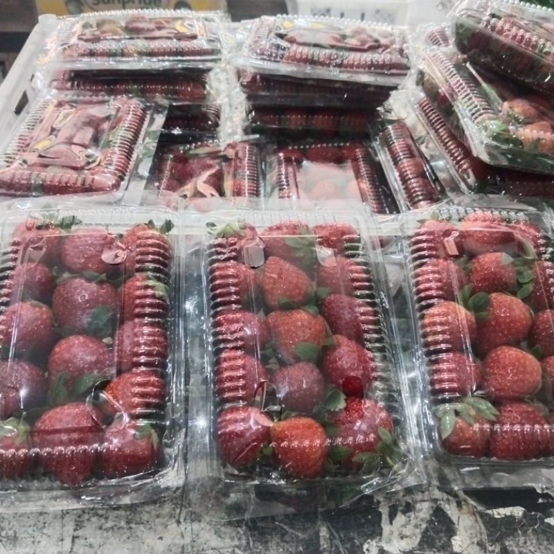 

strawberrybandungaslih