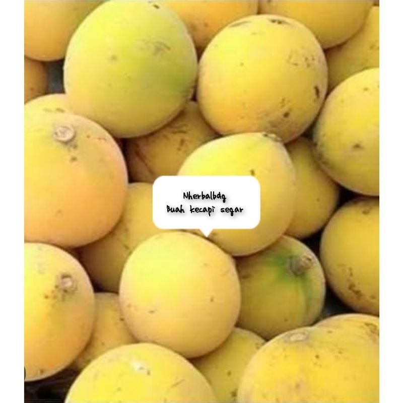 

Buah kecapi manis segar 500 gram bonus daun kecapi