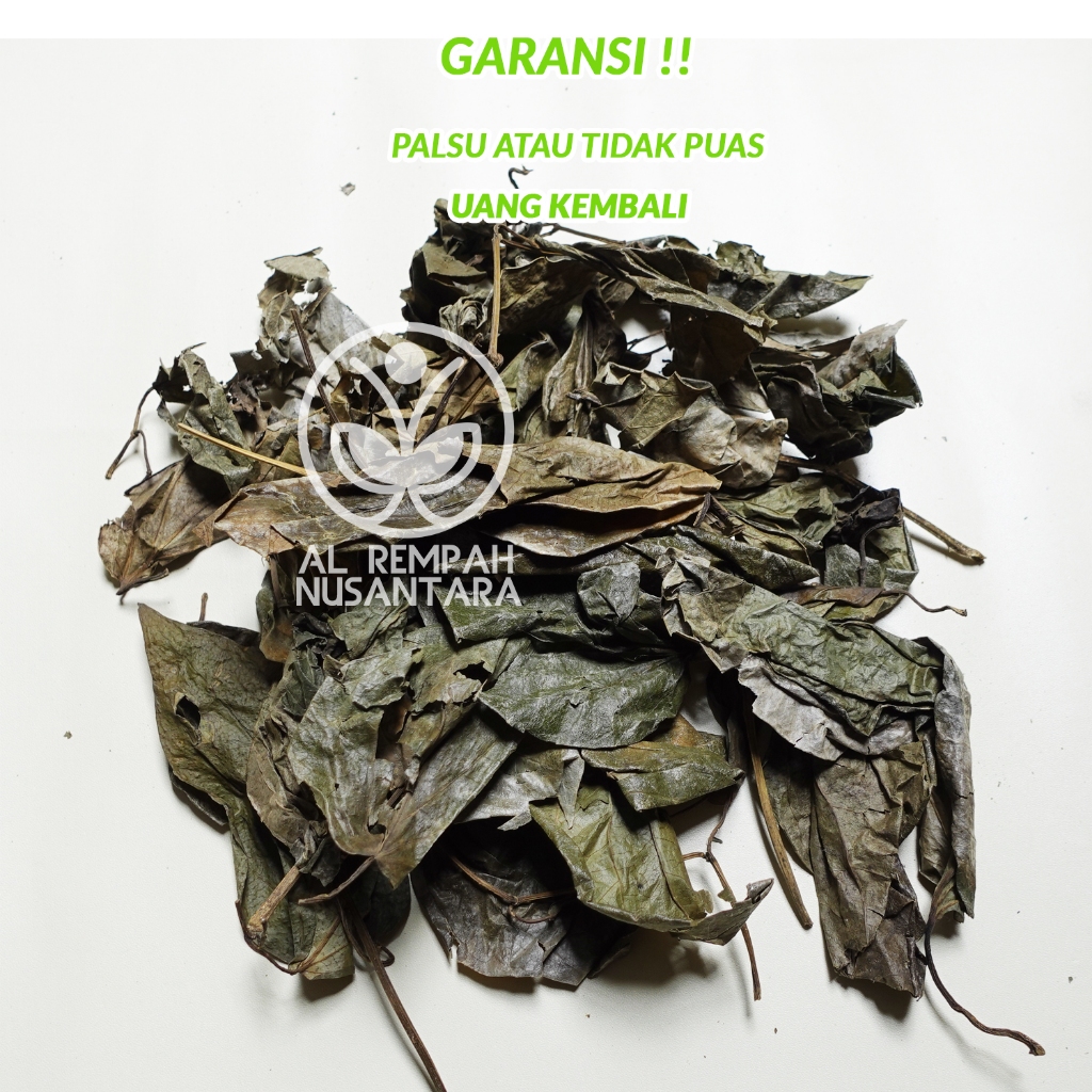 

Daun Sirih Hijau Kering 500gr Bersih dan Organik