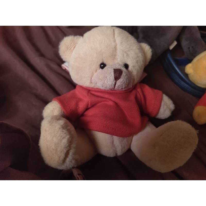 teddy 10k