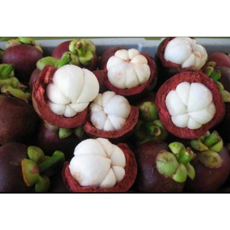 

manggis padang manis (900g - 1kg)