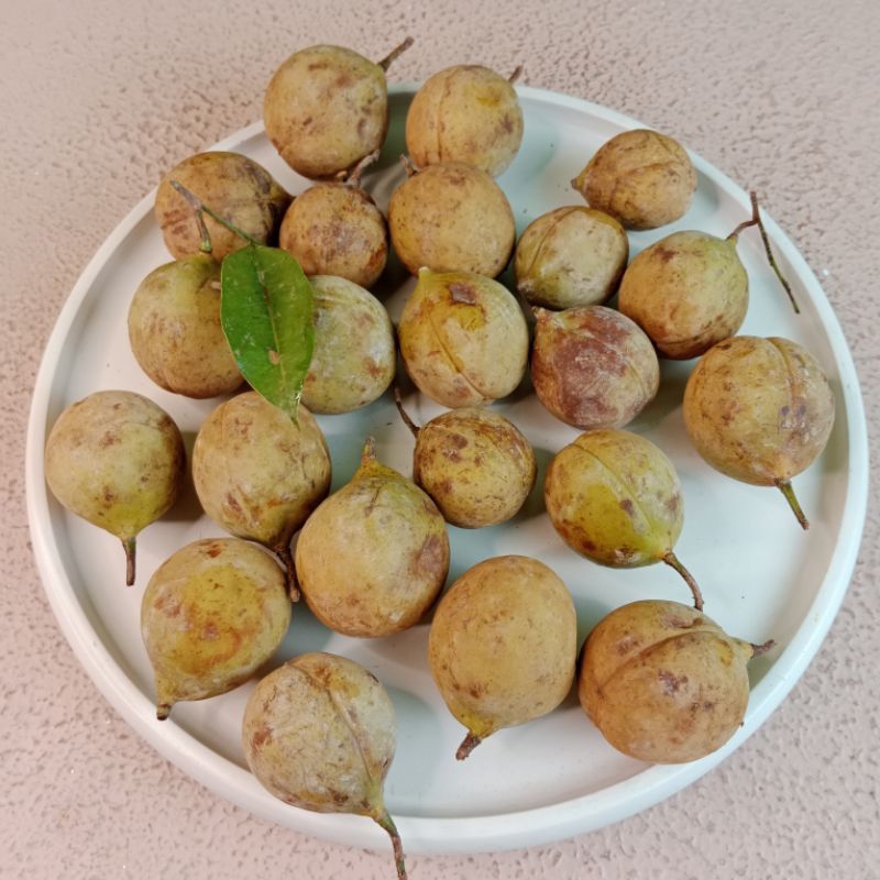 

Amanta Segar Bogor | Buah Pala Utuh Segar Mentah 1kg