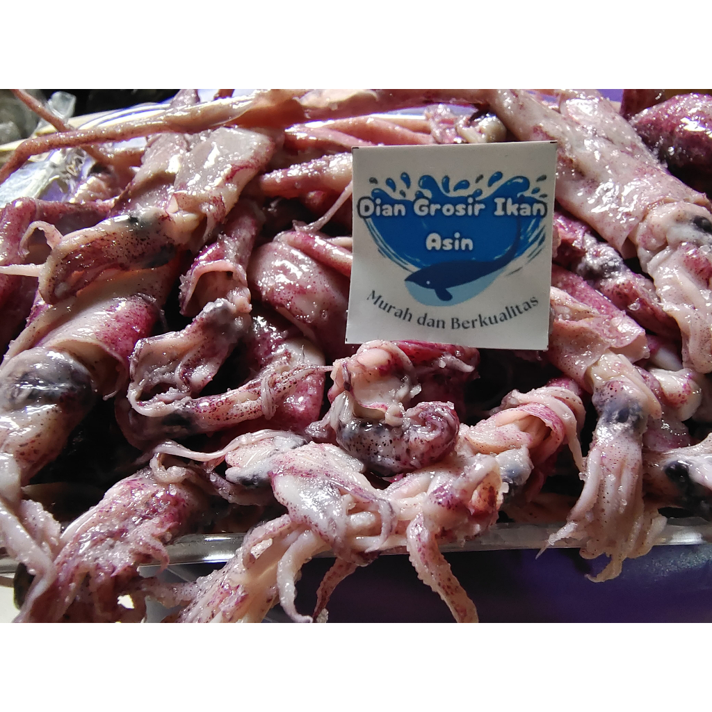 

Grosir Ikan Asin Dian - Cumi Jarum Gepeng Fresh 250 gr