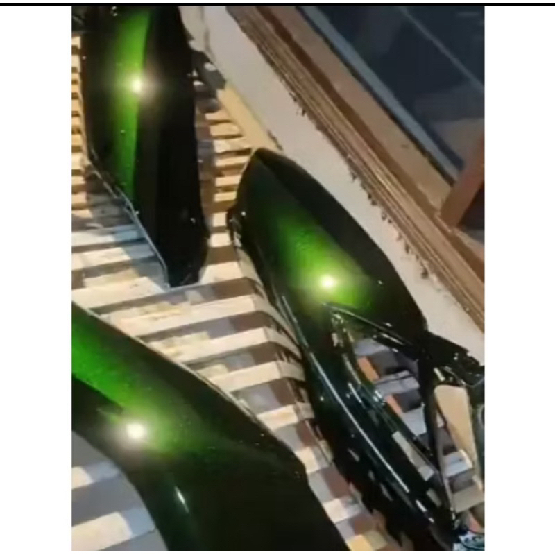 

cat moonlight green PU custom