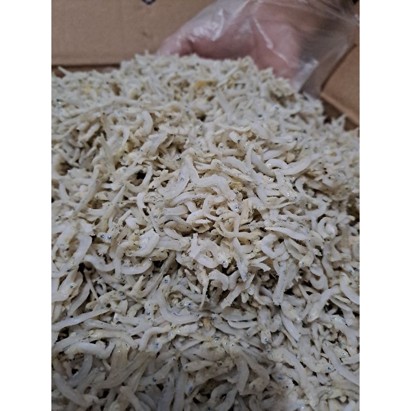 

Teri Medan (500 gr)