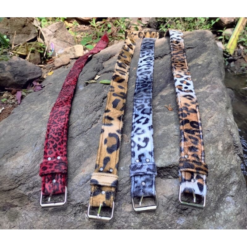 

Belt leopard | Ikat pinggang leopard | Sabuk leopard | beuber leopard | Sabuk pria | sabuk wanita