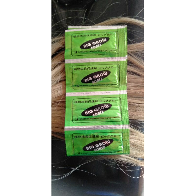 Big Grow Forte Zpt 20 wp 1 gram