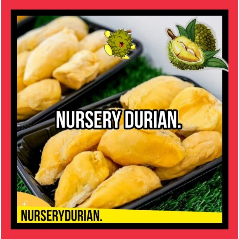 

Durian Nursery Musang King Frozen Original Pahang malaysia 400Gram