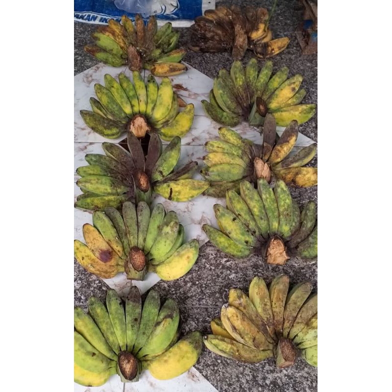 

Pisang kepok cocok dibuat kripik di jual per 1500 gram