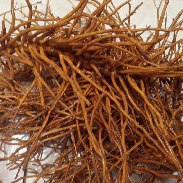 

AKAR TUNJUK LANGIT 100GRAM/ AKAR OBAT HERBAL