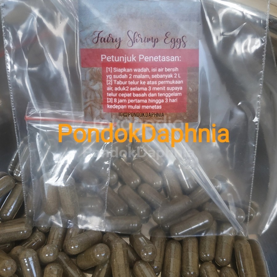TELUR ARTEMIA AIR TAWAR  FAIRY SHRIMP EGG 1 CAPSULE