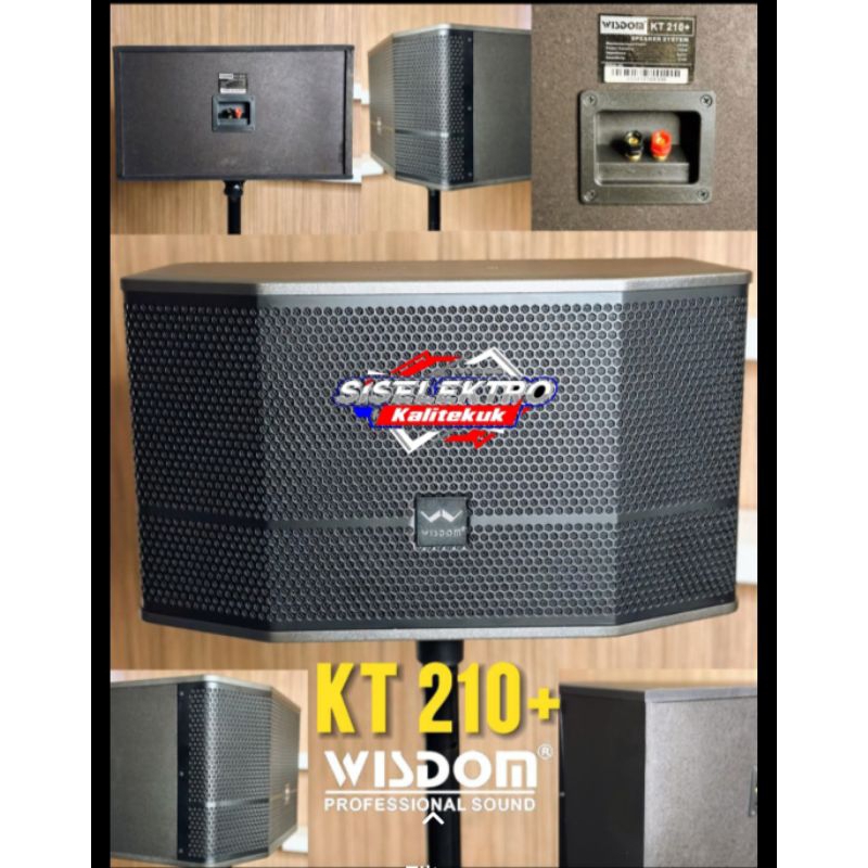 Wisdom Speaker Karaoke Wisdom KT 210 Karaoke 10 Inch