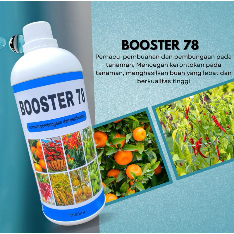 TERBARU Pupuk BOOSTER 78 1000ML - PUPUK PEMBUNGAAN DAN PEMBUAHAN