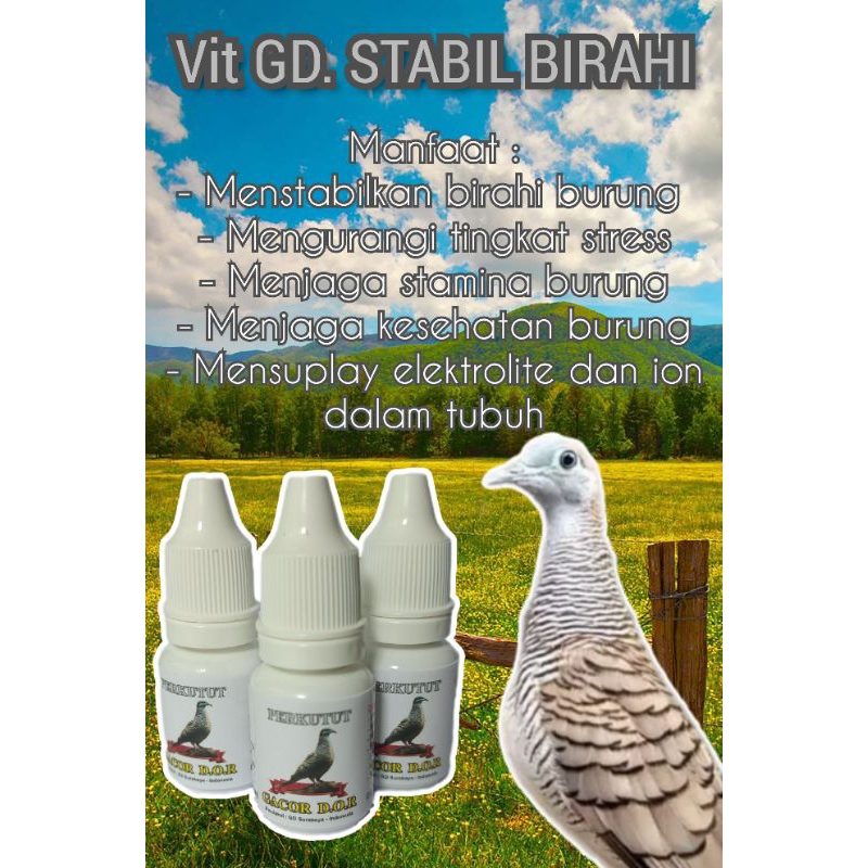 vitamin stabil birahi burung perkutut