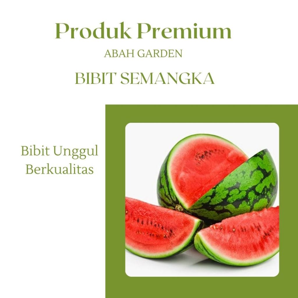 

Benih Buah Semangka Merah Bibit Benih Semangka Bulat Merah Bibit Unggul