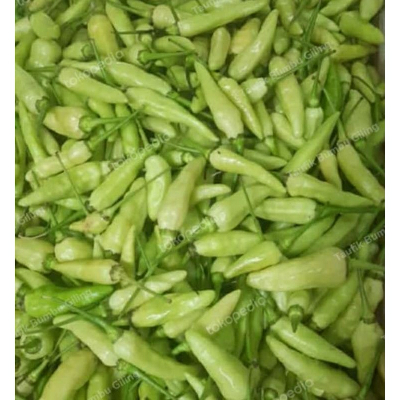 

cabe rawit hijau 500g