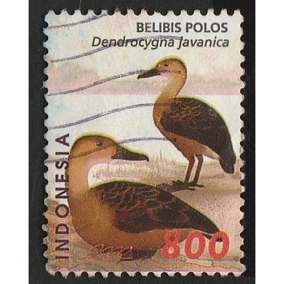 

A 11517 SATU BUAH PRANGKO INDONESIA TEMA SATWA BELIBIS POLOSDENGAN KONDISI SUDAH ADA CAP