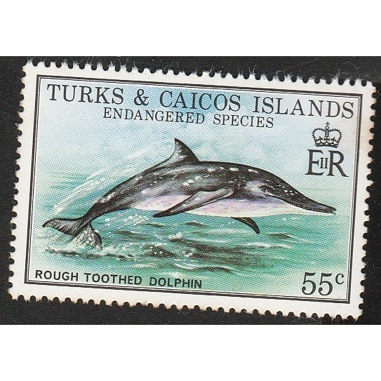 

A 11034 SATU BUAH PRANGKO TURKS CAICOS ISLANDS NOMINAL 55C TEMA SATWA IKAN ROUGH TOOTHED DOLPHIN DENGAN KONDISI BELUM ADA CAP