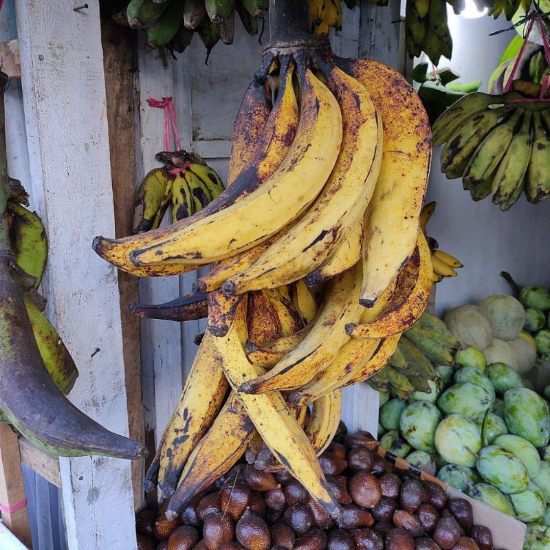 

Pisang Tanduk Super Termurah Kwalitas Premium harga 5.000/biji