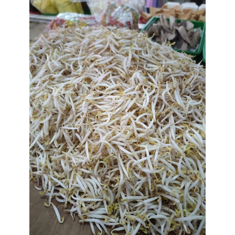 Tauge kacang hijau 250 gram