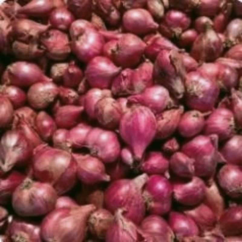 

Bawang Merah 200 gram