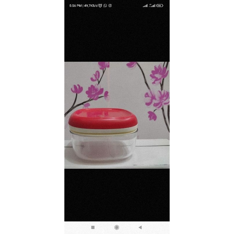 Crystal Canister tupperware