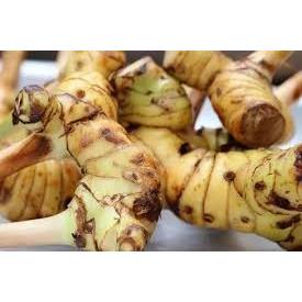 

LAOS Lengkuas 1 kh herbal,alami