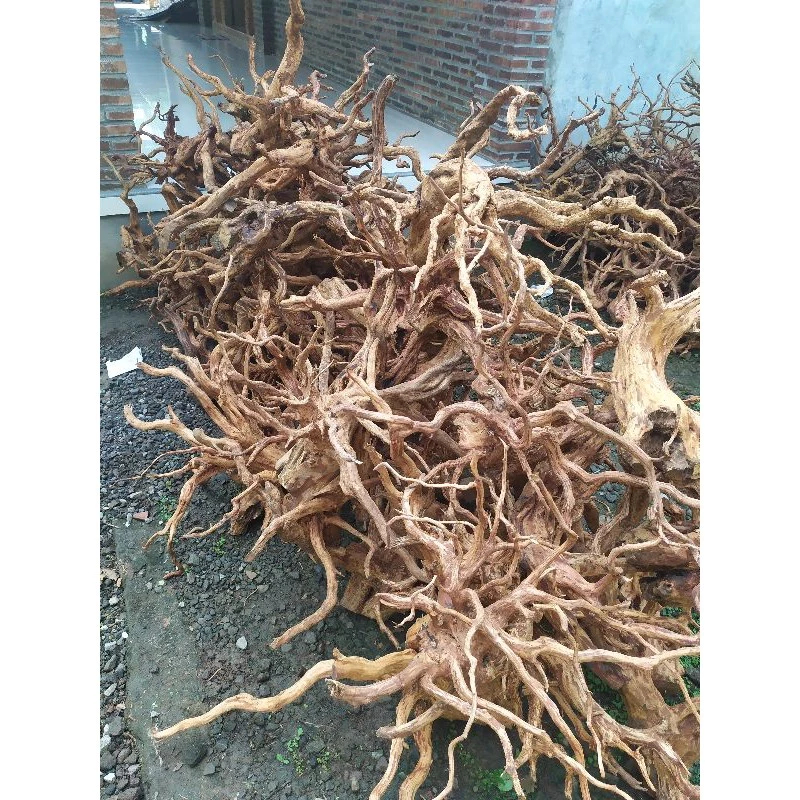 Kayu aquascape rasamala size jumbo