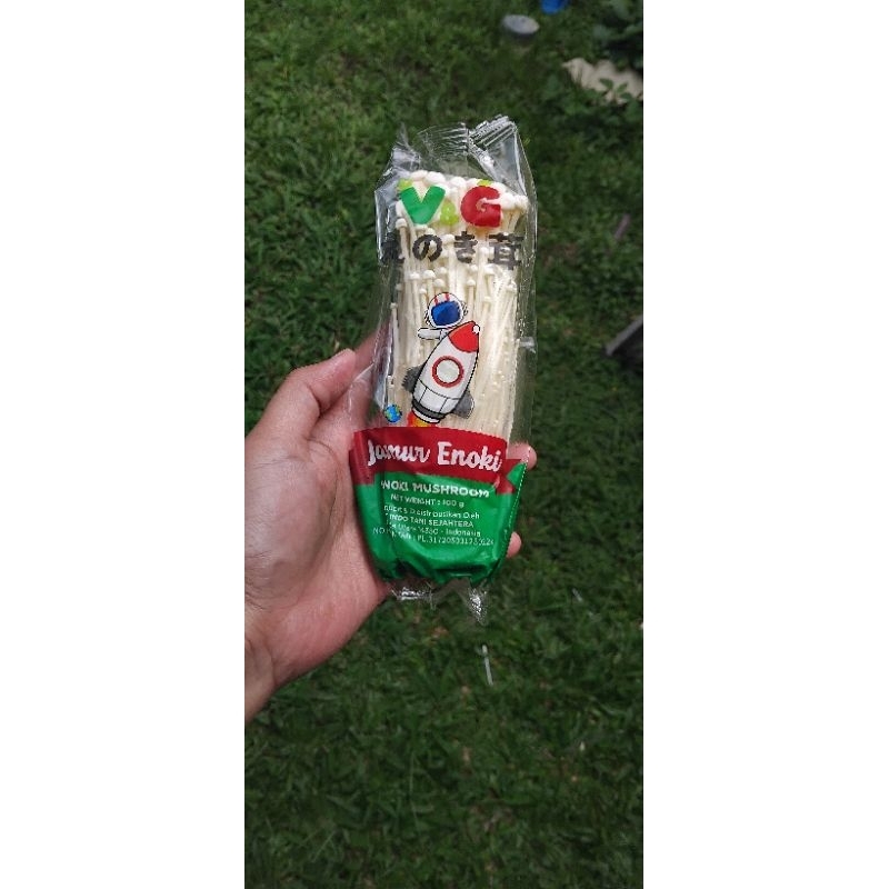 

jamur enoki