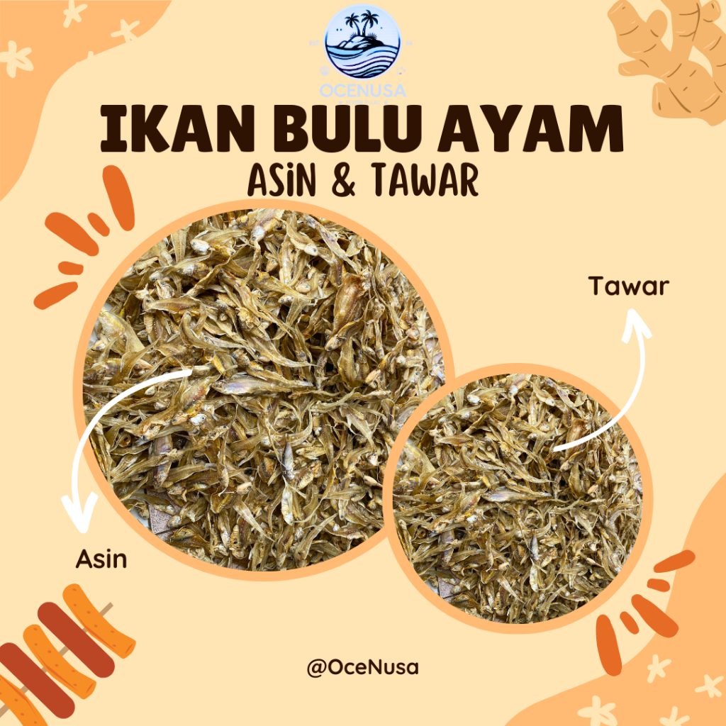 

Ikan Bulu Ayam - Asin & Tawar (500gr/1kg)