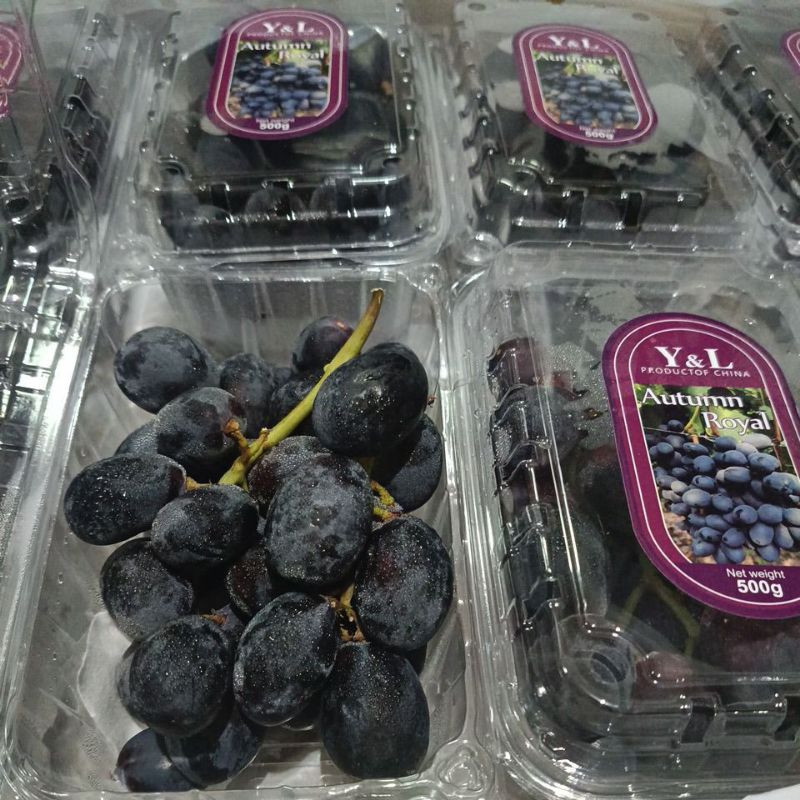 

Buah Anggur Autumn Royal 500 gr/pack