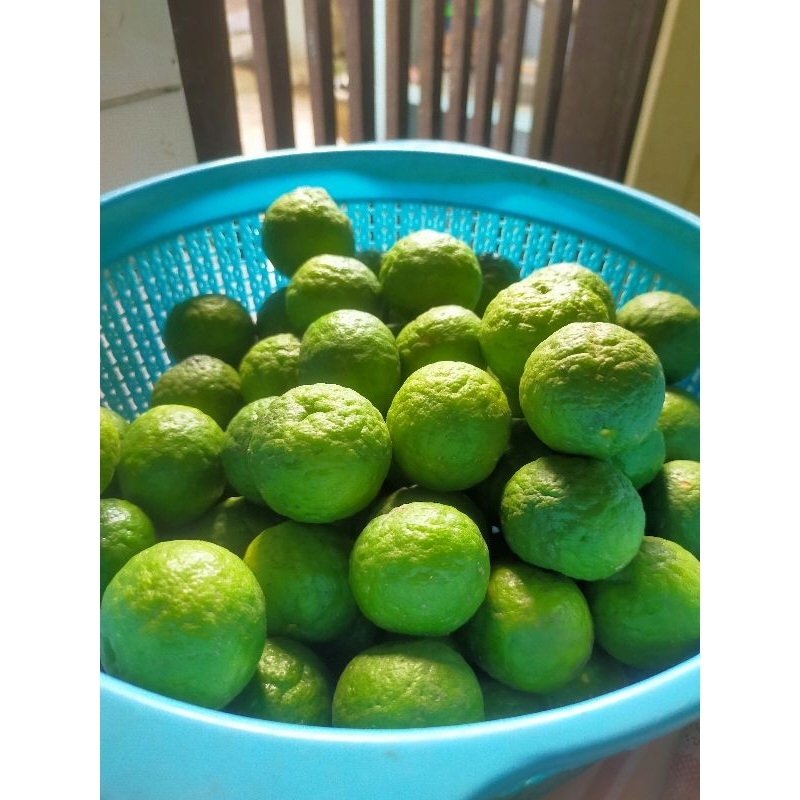 Jeruk Limau Segar