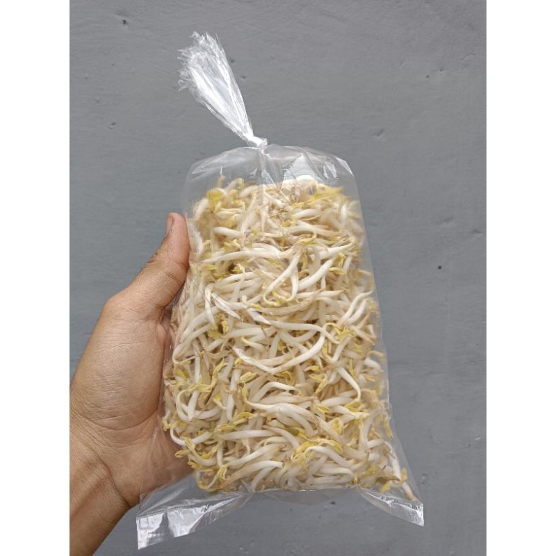 

Sayur Tauge Segar 200 Gram