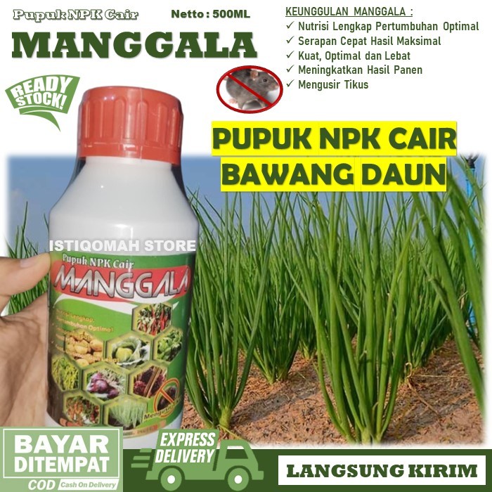 PUPUK PENYUBUR BAWANG DAUN Terbaik MANGGALA 500ML Pupuk NPK Cair untuk Tanaman Bawang Daun yang Bagu