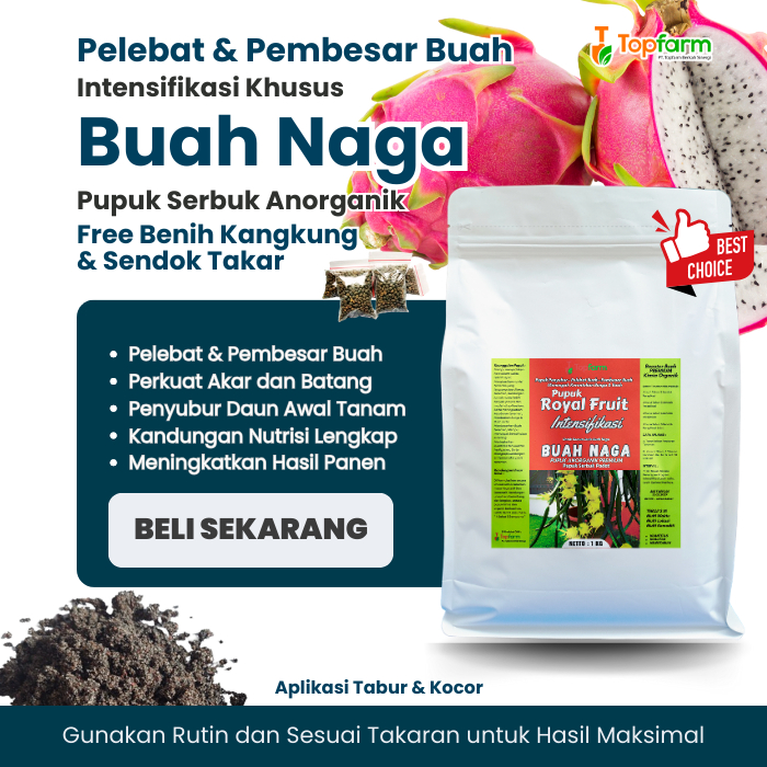 Pupuk Buah Naga Terbaik / Pupuk Tanaman Buah Naga Agar Cepat Berbuah / Pupuk Pembesar Buah Naga