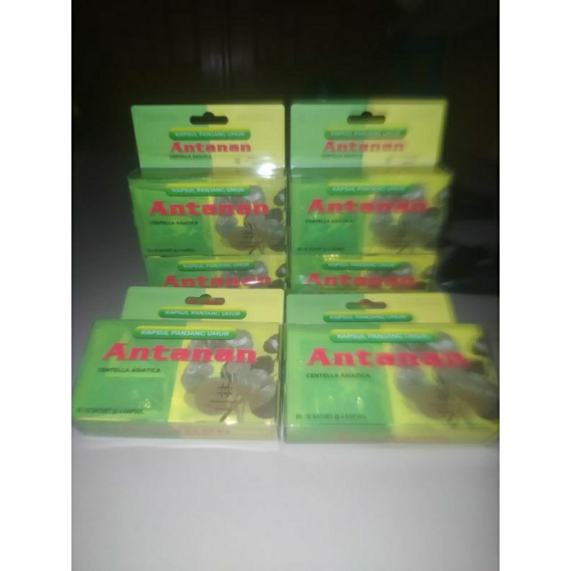 

herbal antanan ori mika