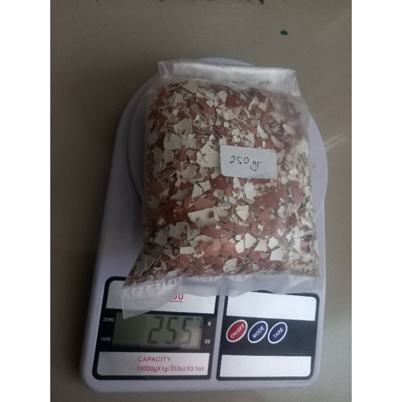 

Cangkang Telur - Kulit Telur Ayam Negeri