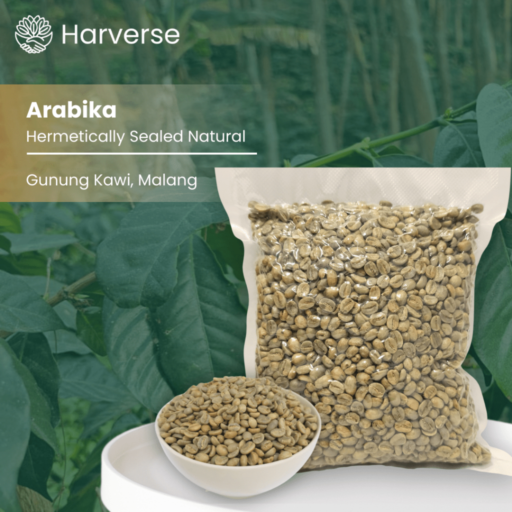 

Green Bean Arabika Gunung Kawi - Proses Hermetically Sealed Natural - 1 kg - Harverse