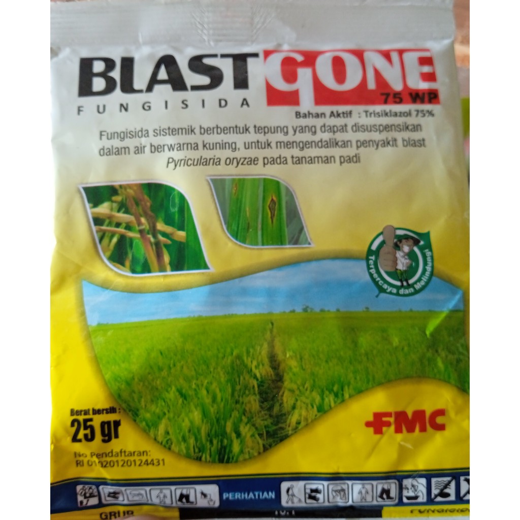 Blast Gone Fungisida 75 WP