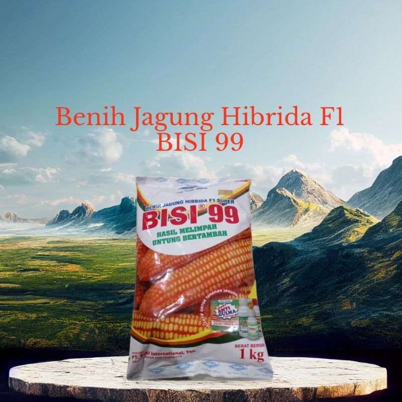 Benih Jagung Hibrida F1 Bisi 99
