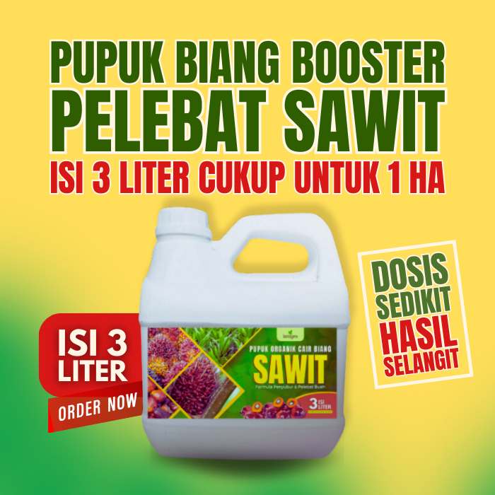 Pupuk Biang Booster 3 Liter Pelebat Buah Sawit Agar Lebat dan Berat Pupuk Sawit Cepat Berbuah Perang