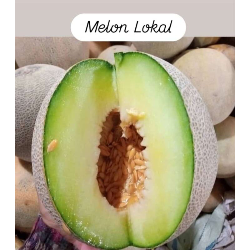 

melon lokal perbutir manis ±2kg